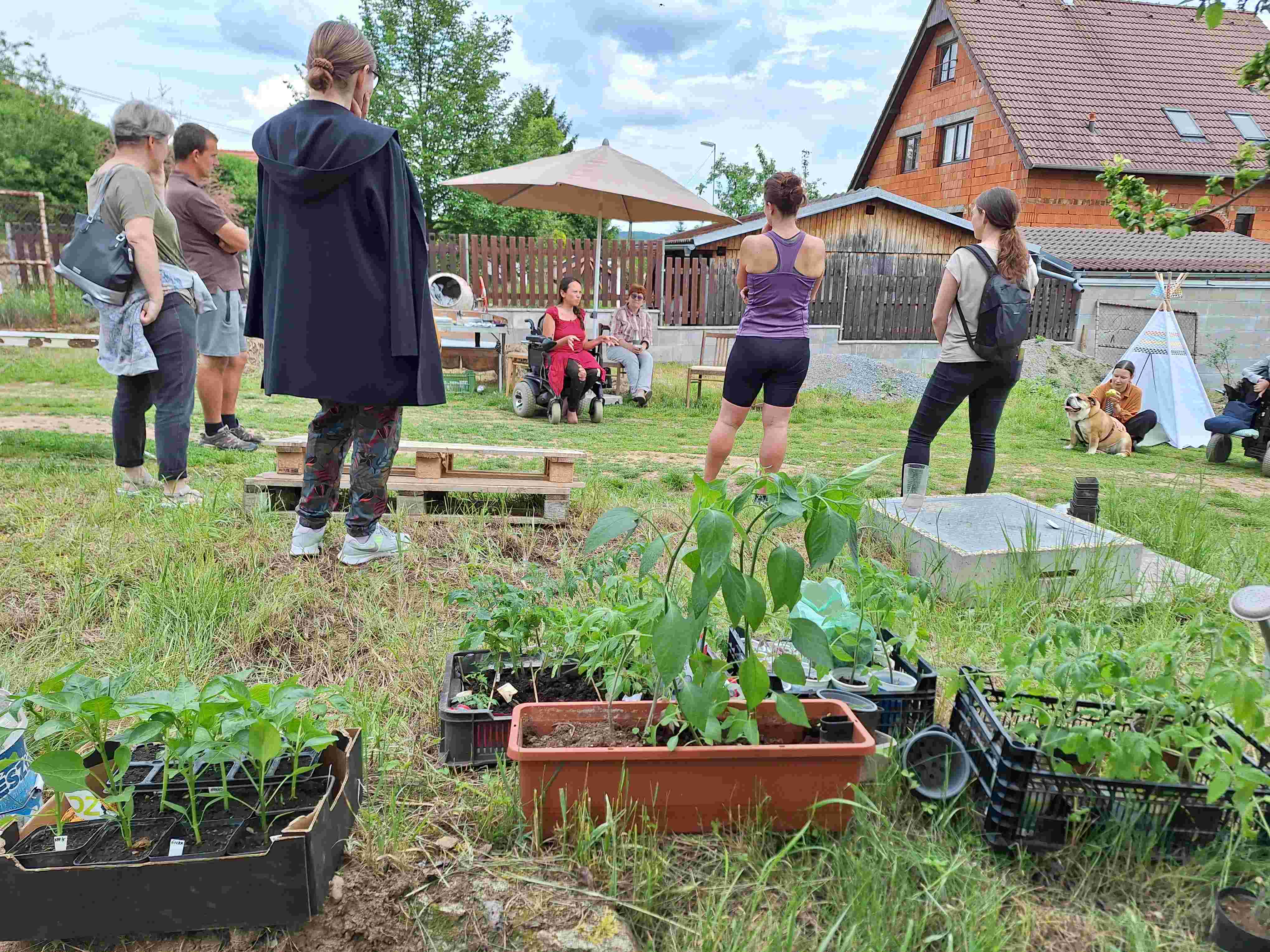 Lidé v kroužku na zahradě