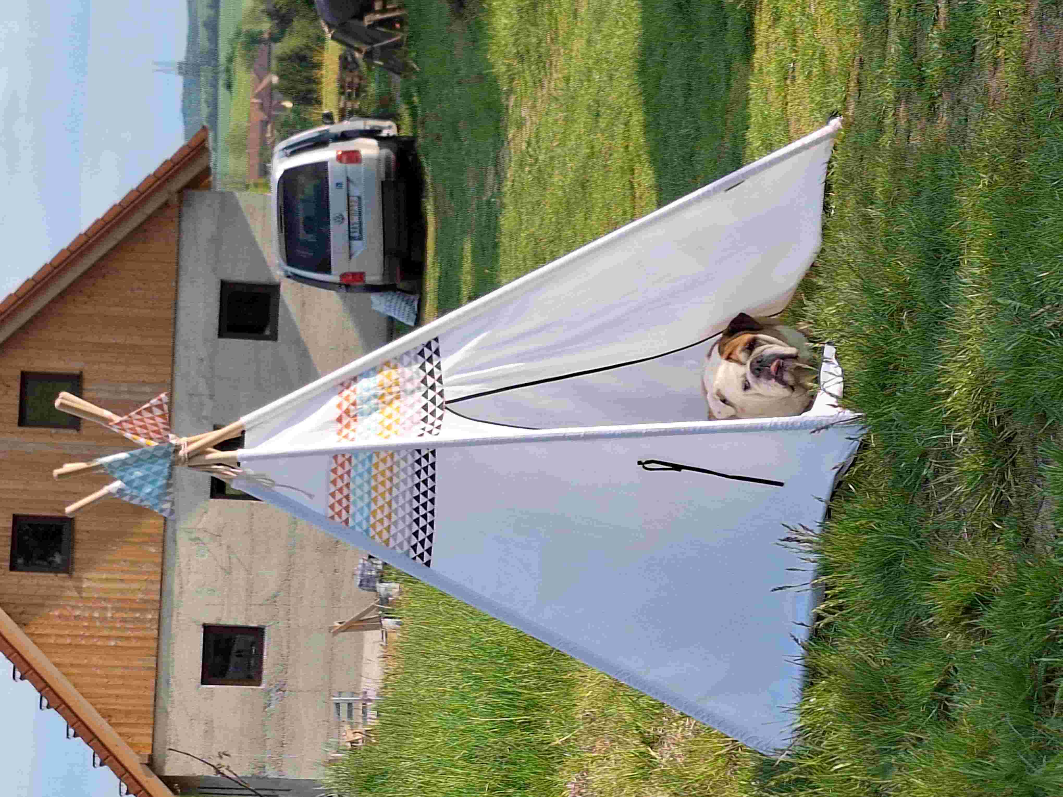 Pes v dětském stanu