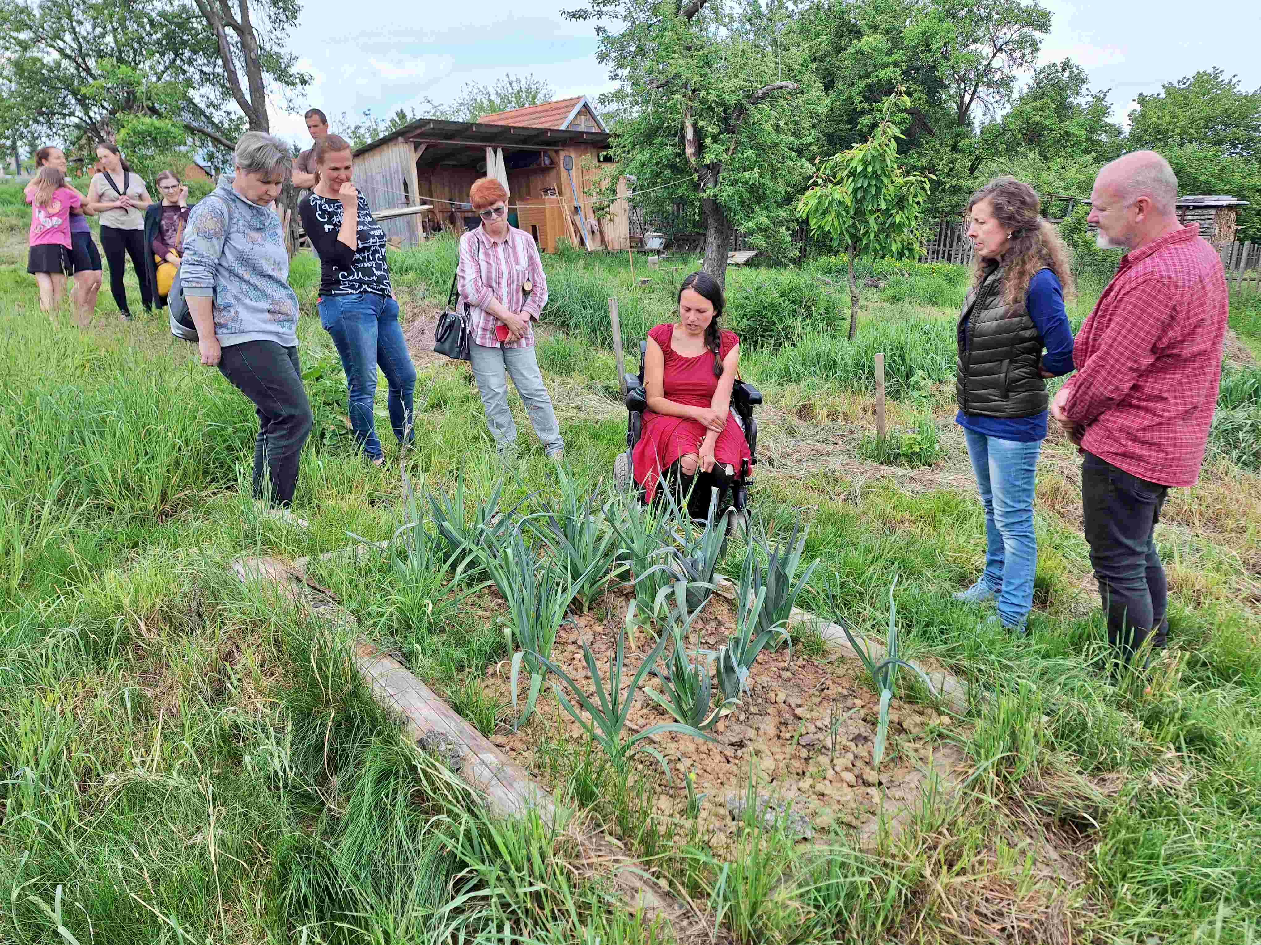 Skupina lidí u záhonu s vytrvalým pórkem