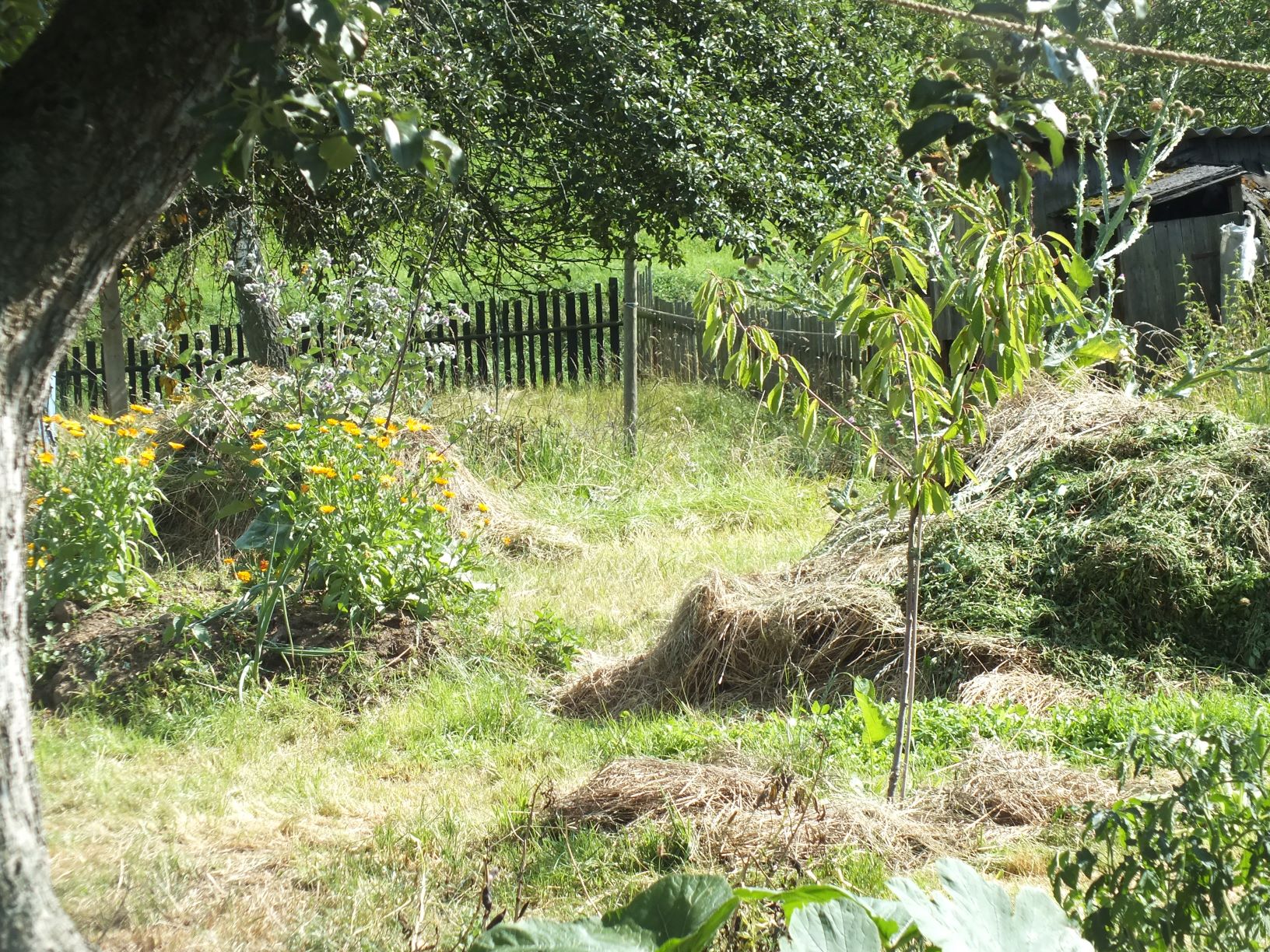 letní posečená zahrada s kupkou sena