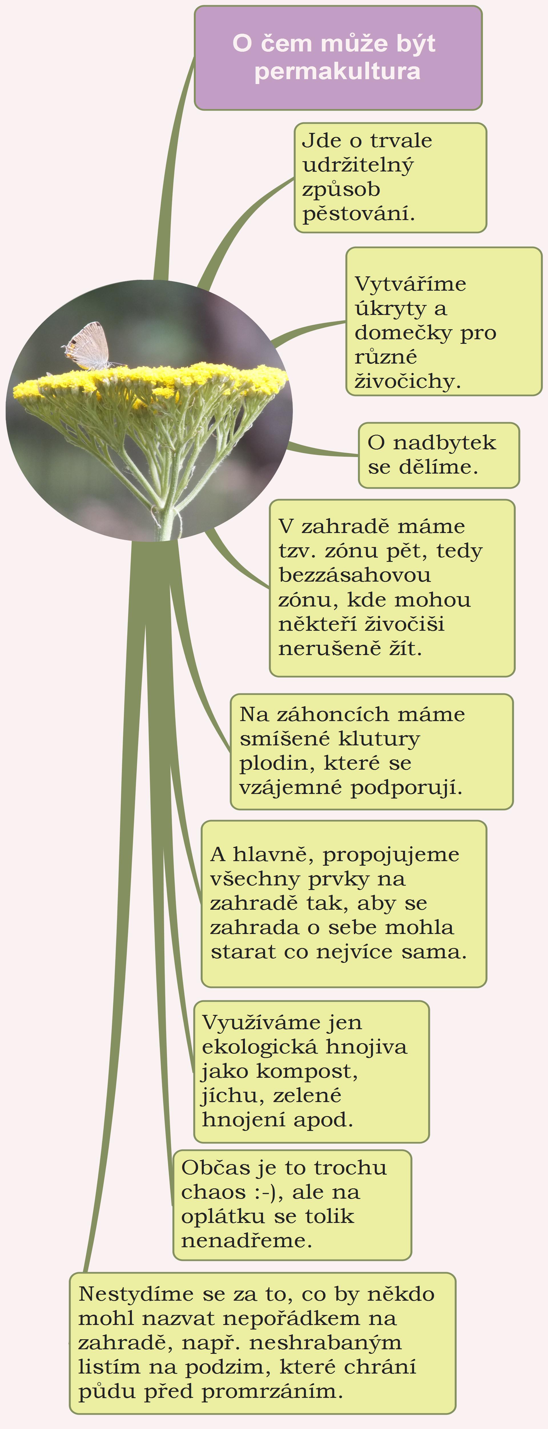 myšlenková mapa permakultury